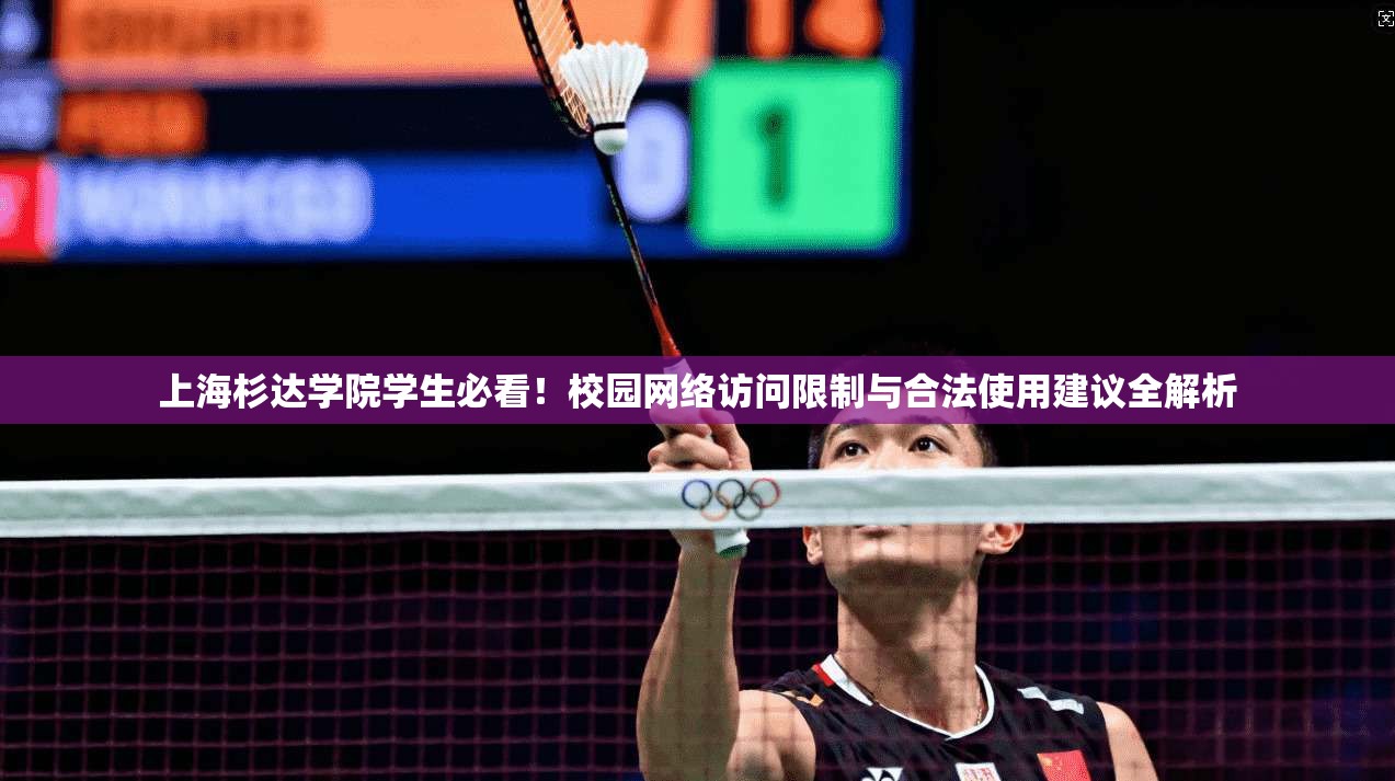 上海杉达学院学生必看！校园网络访问限制与合法使用建议全解析