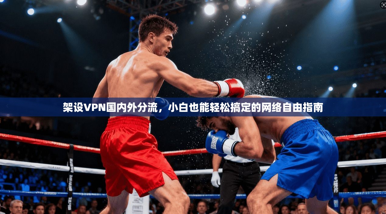 架设VPN国内外分流,小白也能轻松搞定的网络自由指南