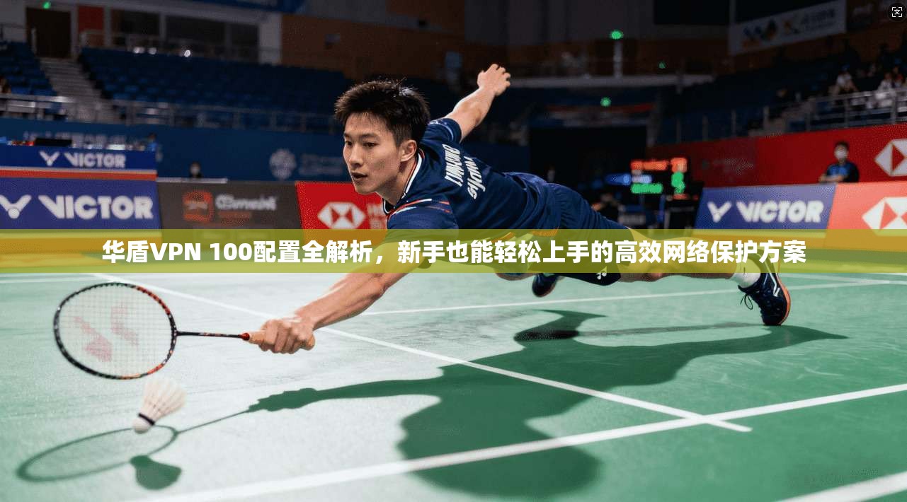 华盾VPN 100配置全解析，新手也能轻松上手的高效网络保护方案