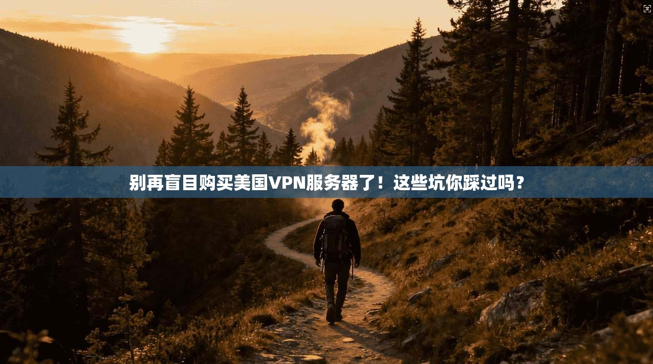 别再盲目购买美国VPN服务器了!这些坑你踩过吗?