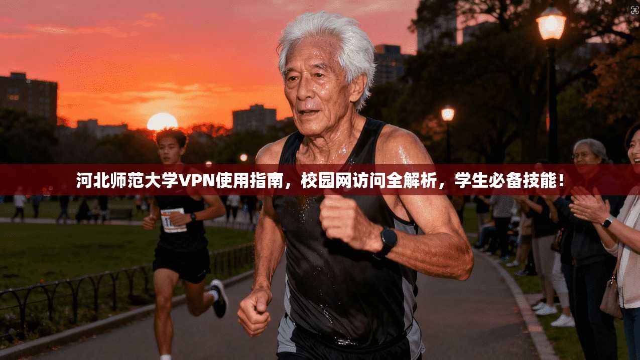 河北师范大学VPN使用指南，校园网访问全解析，学生必备技能！