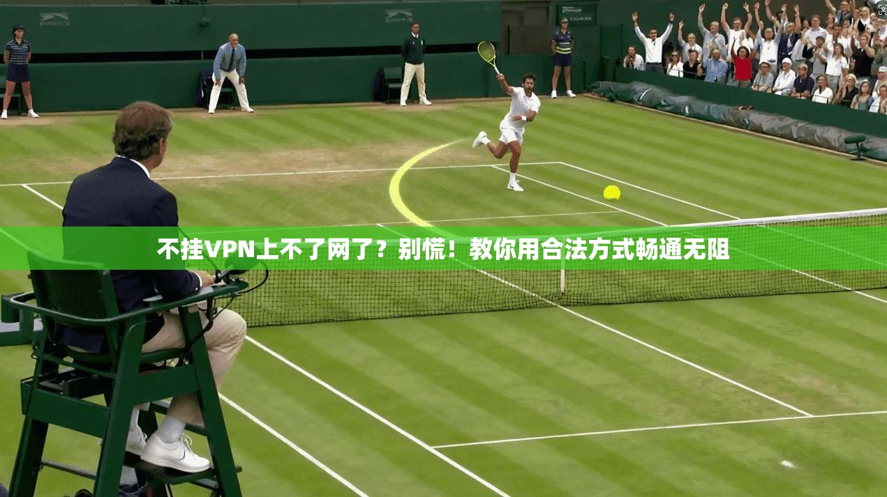 不挂VPN上不了网了?别慌!教你用合法方式畅通无阻