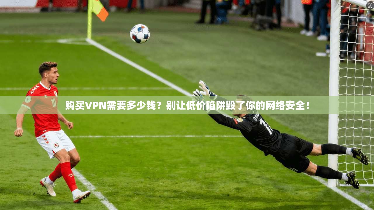 购买VPN需要多少钱？别让低价陷阱毁了你的网络安全！