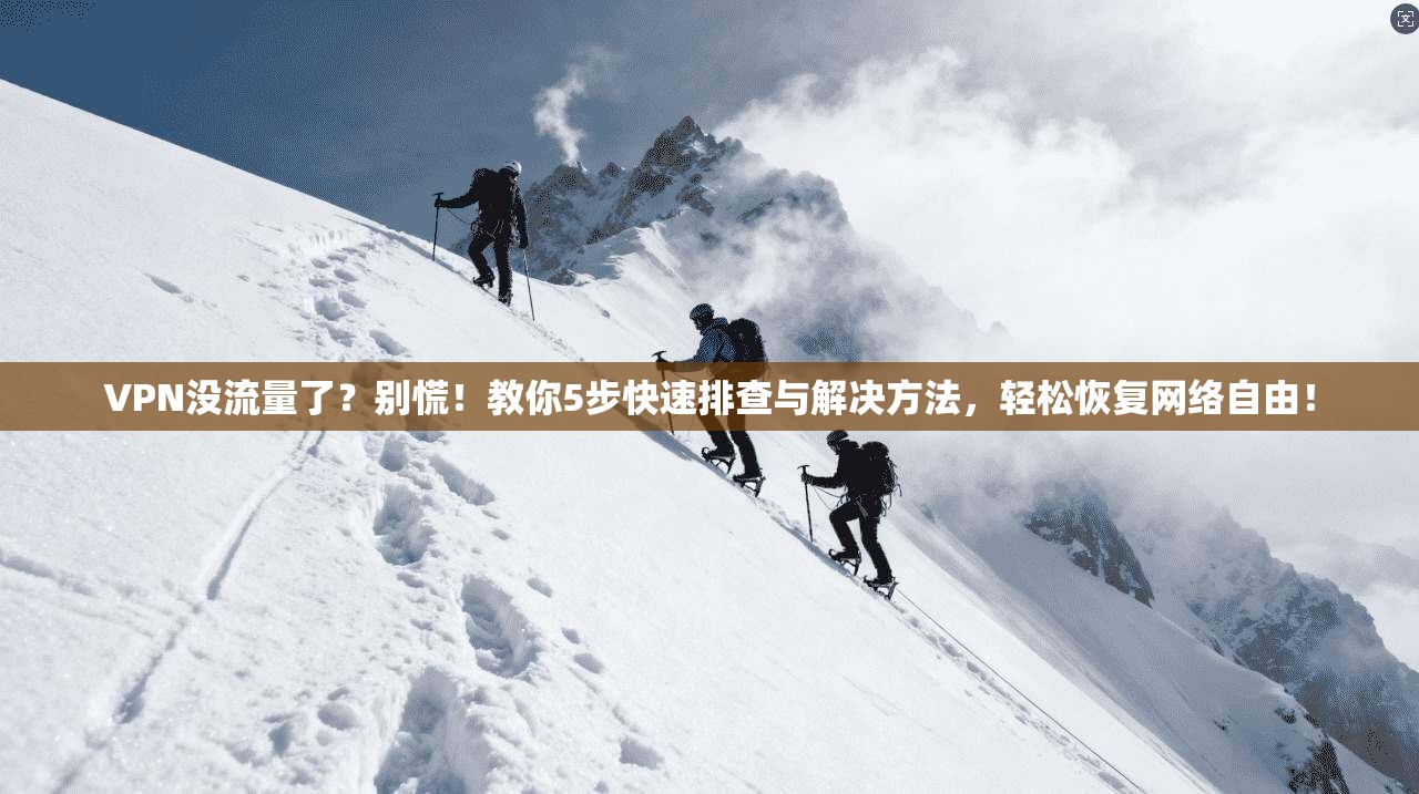 VPN没流量了？别慌！教你5步快速排查与解决方法，轻松恢复网络自由！
