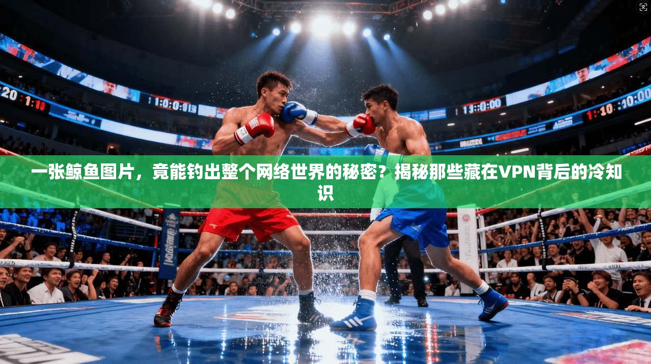 一张鲸鱼图片,竟能钓出整个网络世界的秘密?揭秘那些藏在VPN背后的冷知识