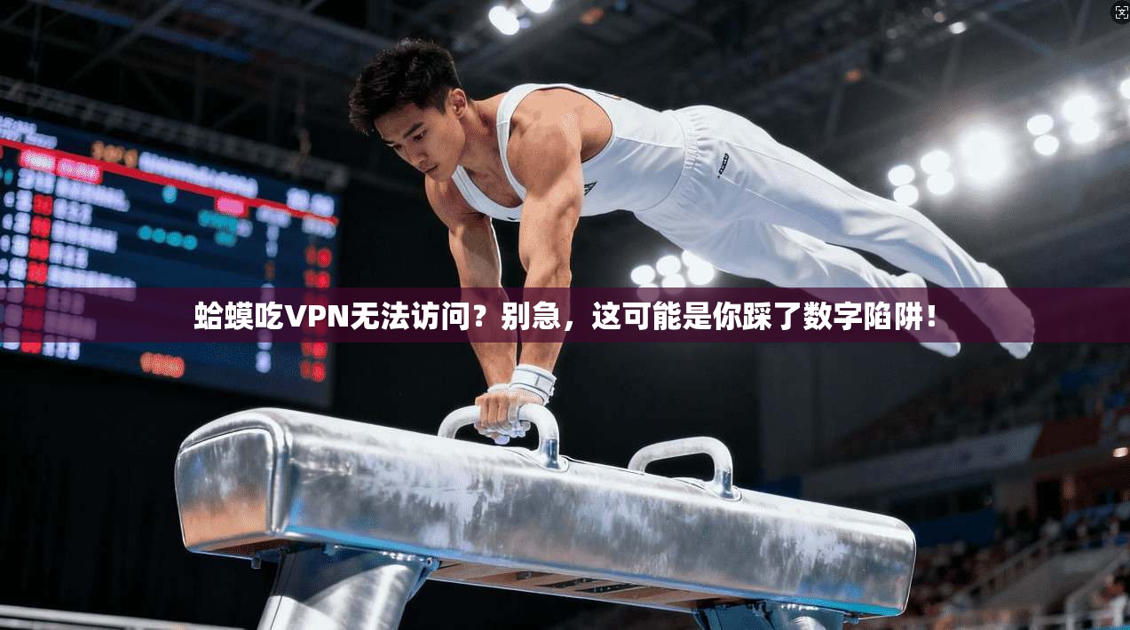 蛤蟆吃VPN无法访问？别急，这可能是你踩了数字陷阱！