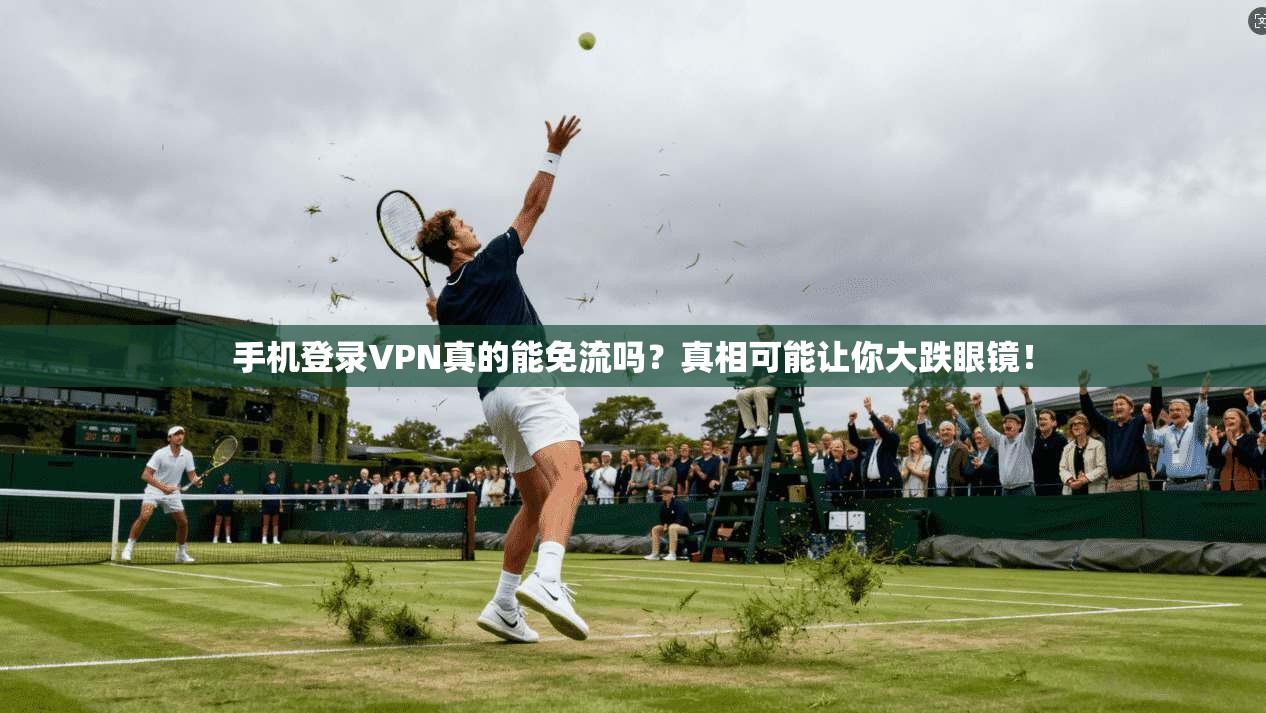 手机登录VPN真的能免流吗?真相可能让你大跌眼镜!