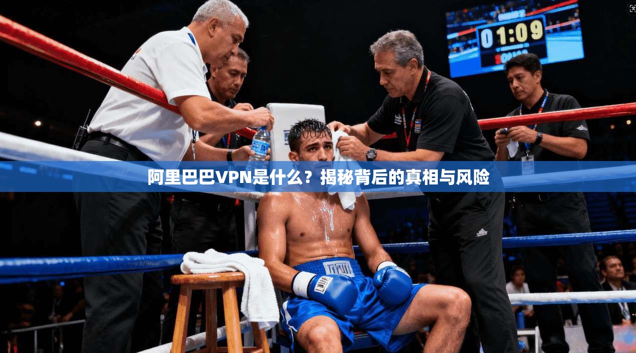 阿里巴巴VPN是什么?揭秘背后的真相与风险