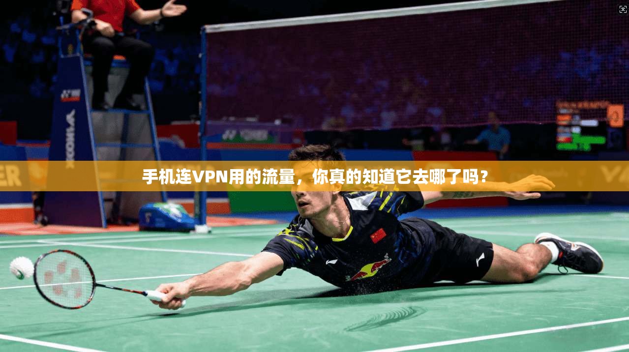 手机连VPN用的流量,你真的知道它去哪了吗?