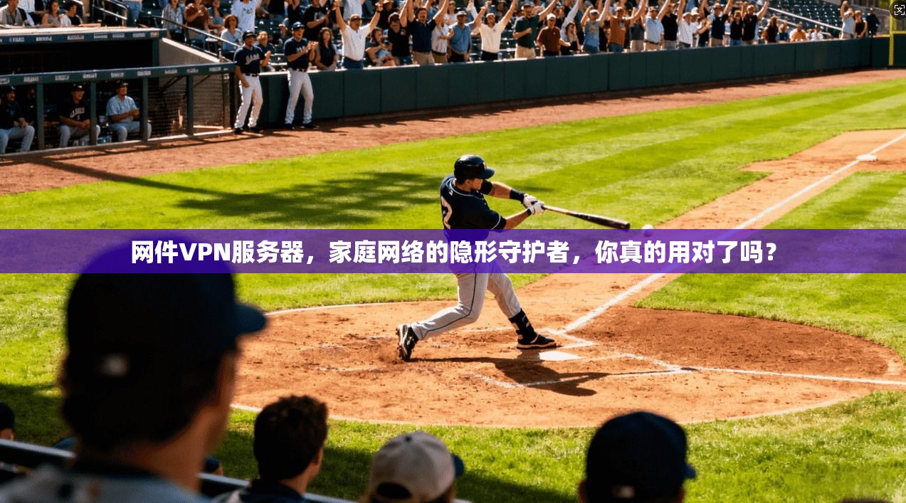 网件VPN服务器，家庭网络的隐形守护者，你真的用对了吗？