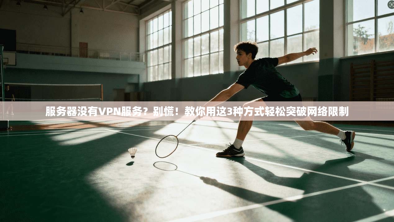 服务器没有VPN服务?别慌!教你用这3种方式轻松突破网络限制