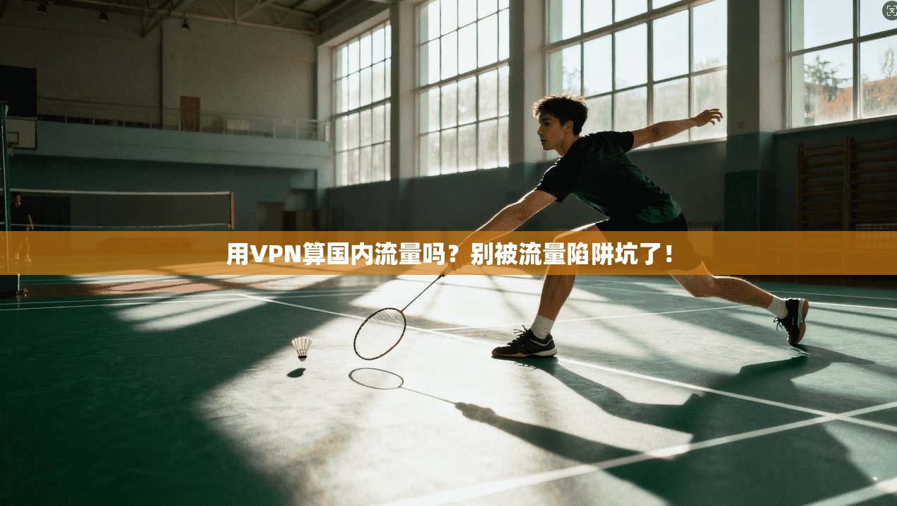 用VPN算国内流量吗？别被流量陷阱坑了！