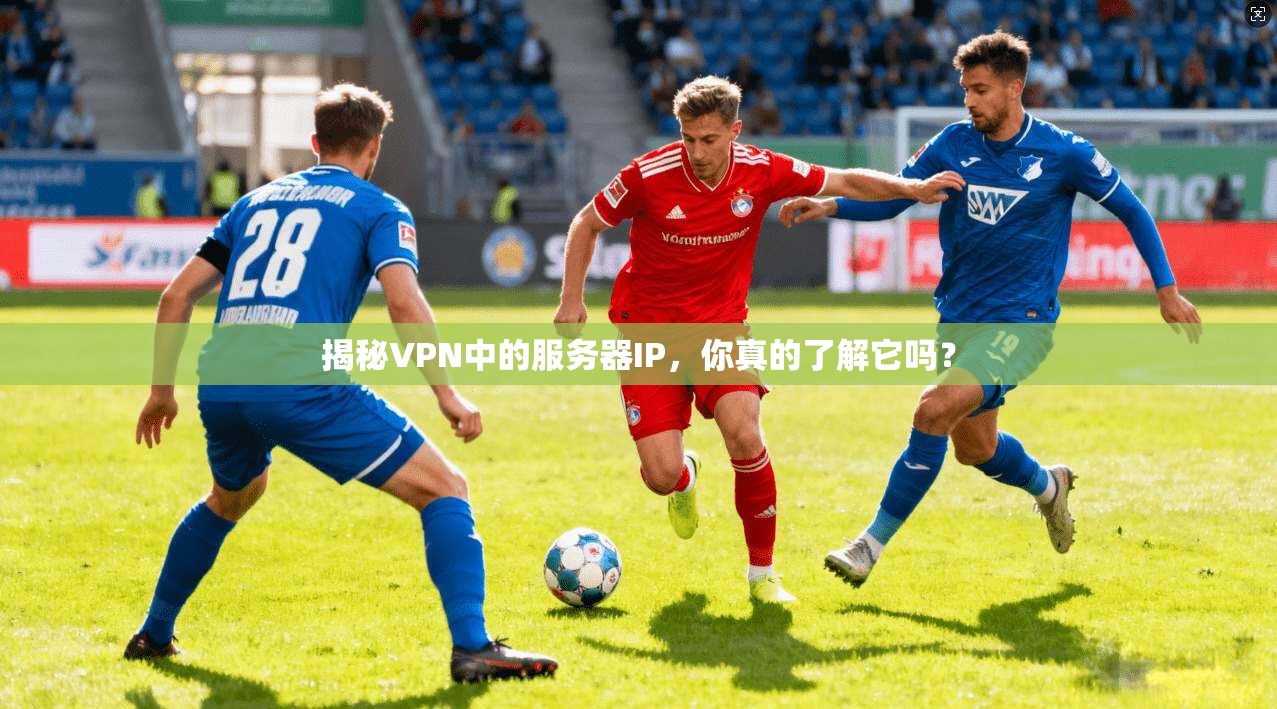 揭秘VPN中的服务器IP,你真的了解它吗?
