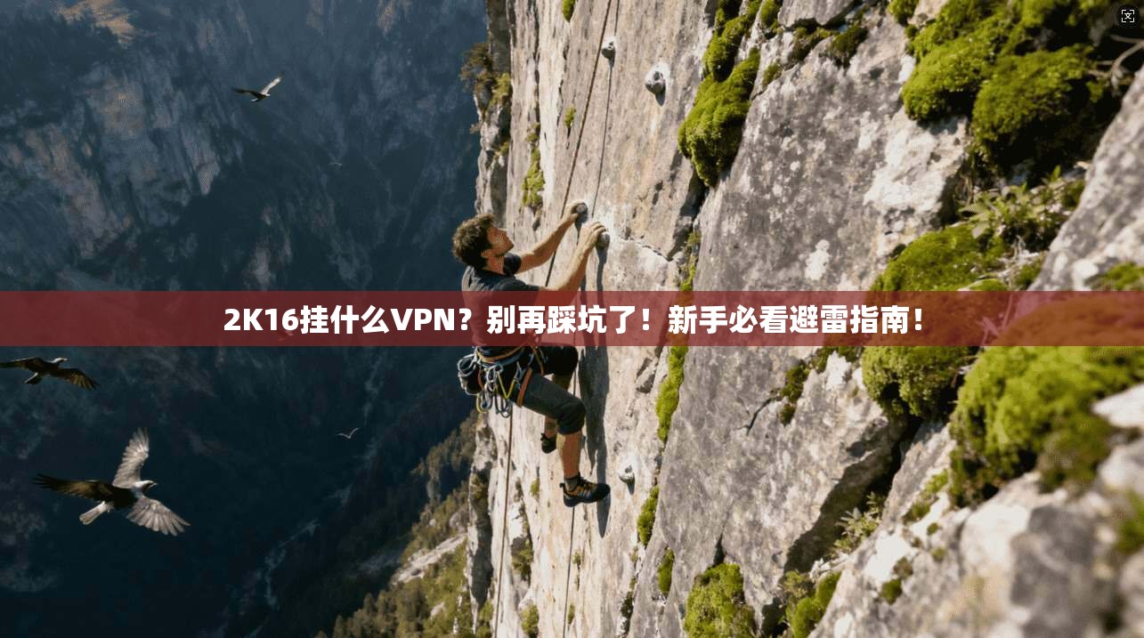 2K16挂什么VPN?别再踩坑了!新手必看避雷指南!