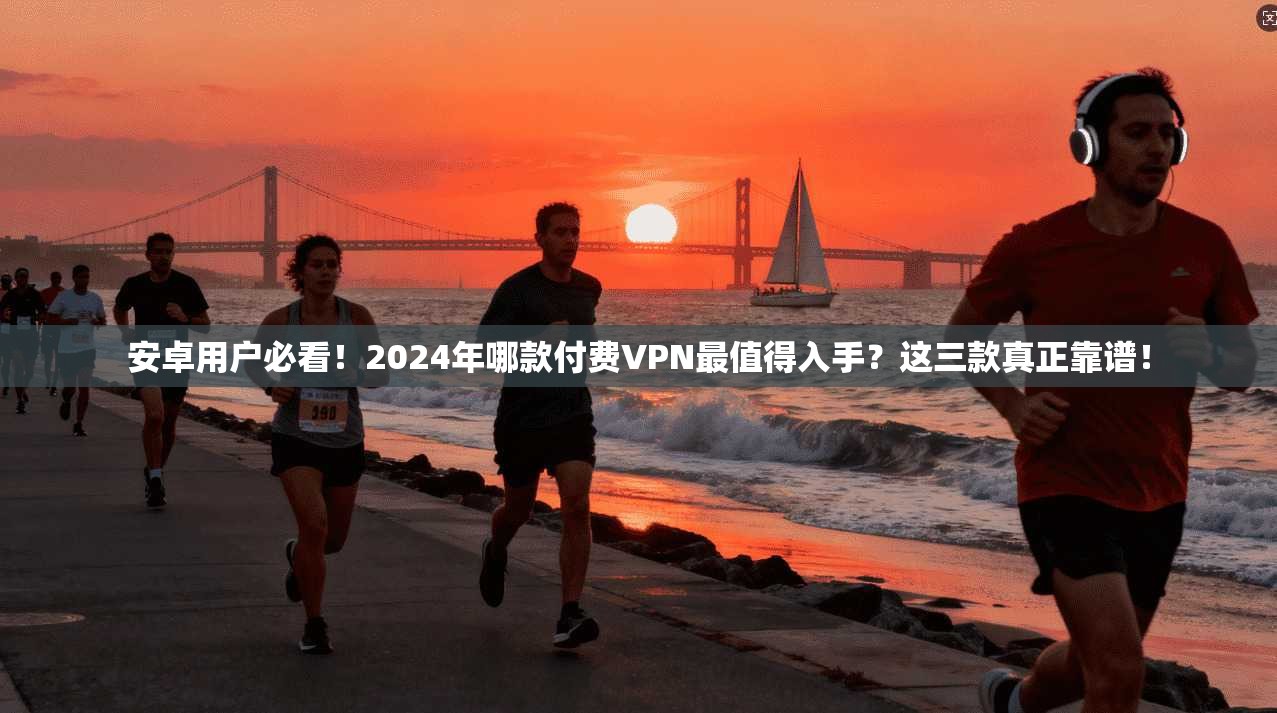 安卓用户必看!2024年哪款付费VPN最值得入手?这三款真正靠谱!