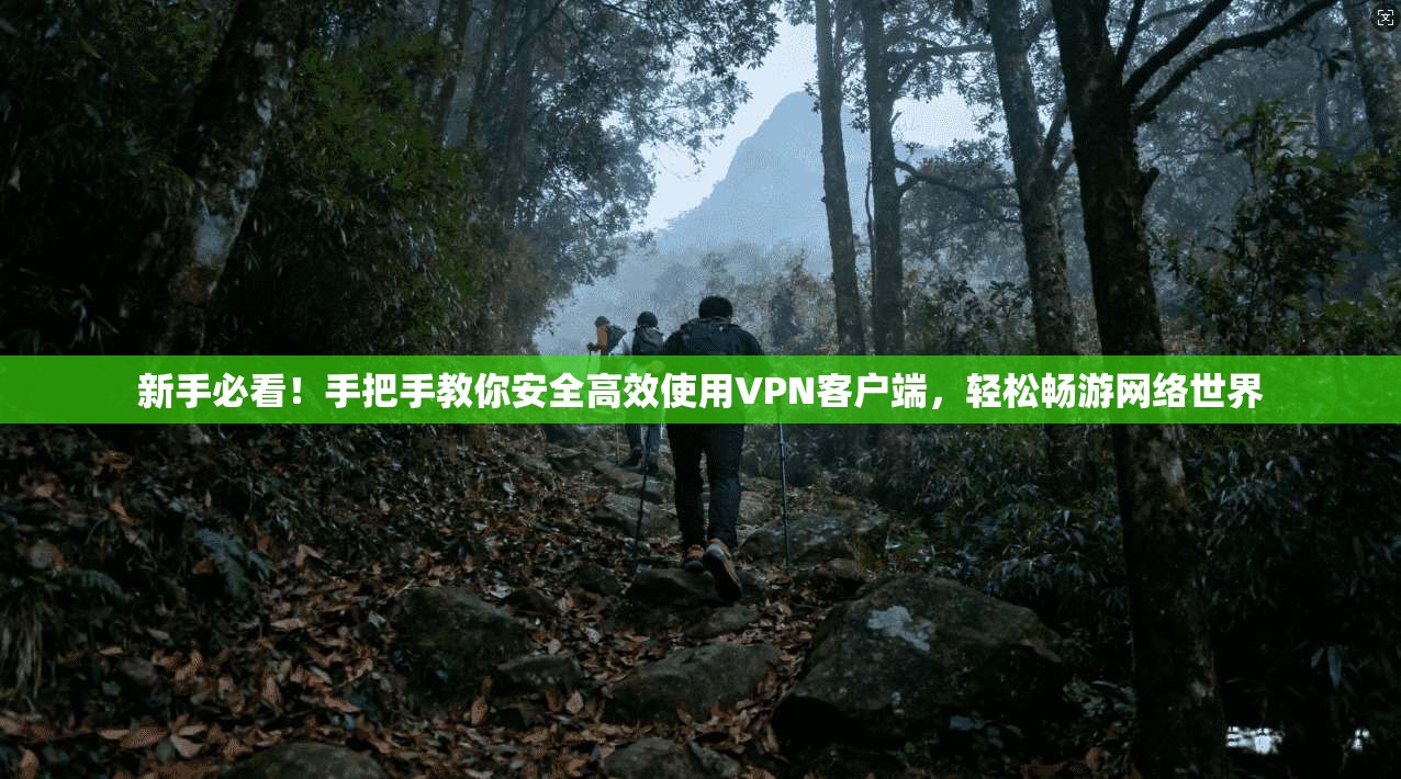 新手必看!手把手教你安全高效使用VPN客户端,轻松畅游网络世界