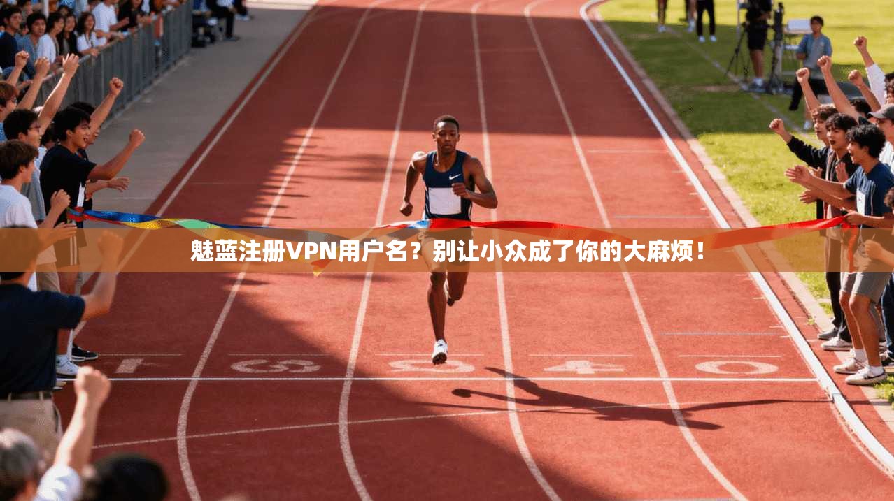 魅蓝注册VPN用户名?别让小众成了你的大麻烦!
