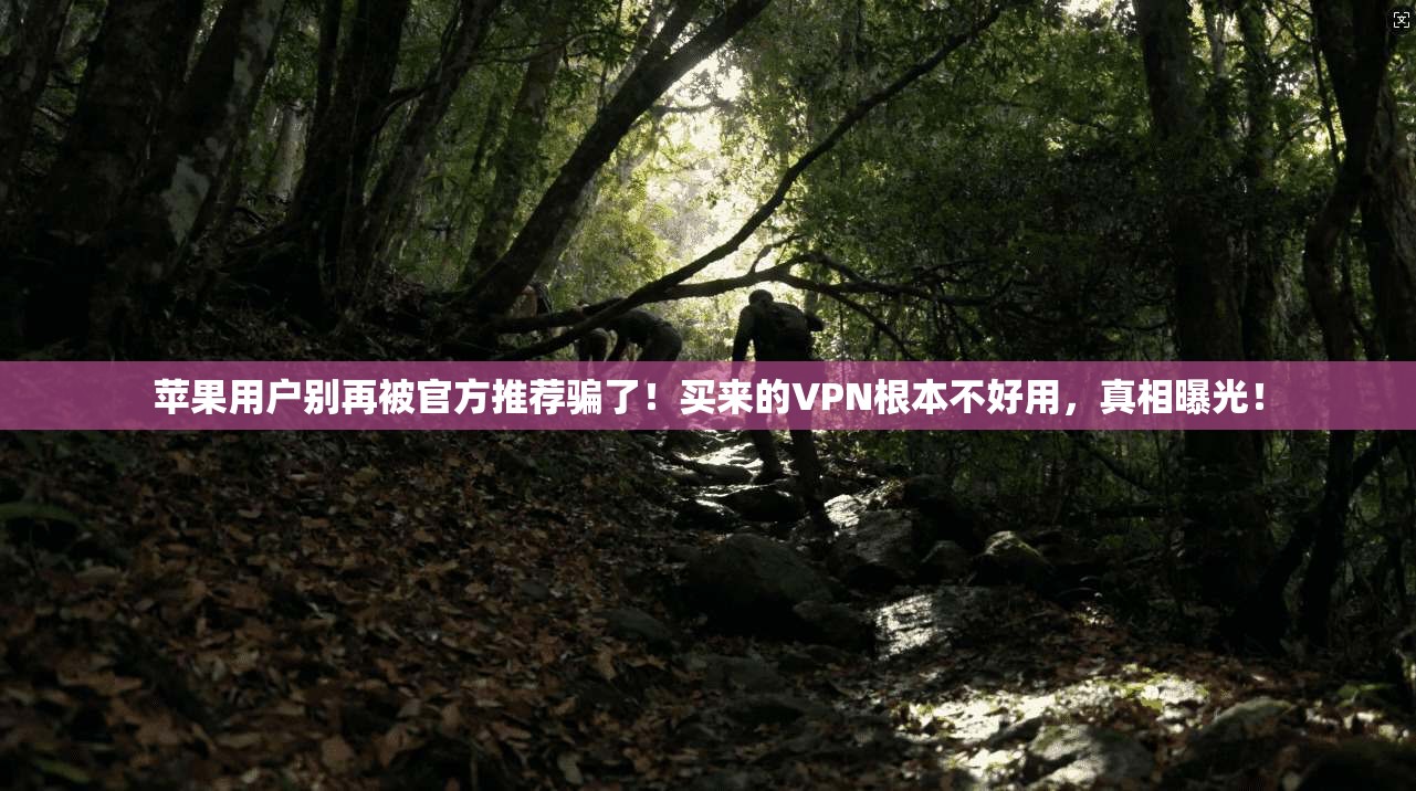 苹果用户别再被官方推荐骗了!买来的VPN根本不好用,真相曝光!