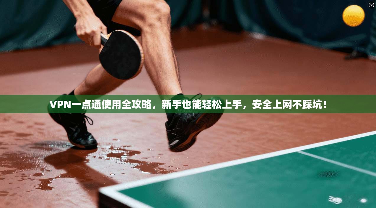 VPN一点通使用全攻略,新手也能轻松上手,安全上网不踩坑!
