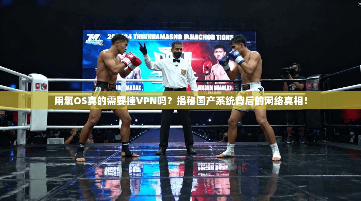 用氧OS真的需要挂VPN吗？揭秘国产系统背后的网络真相！