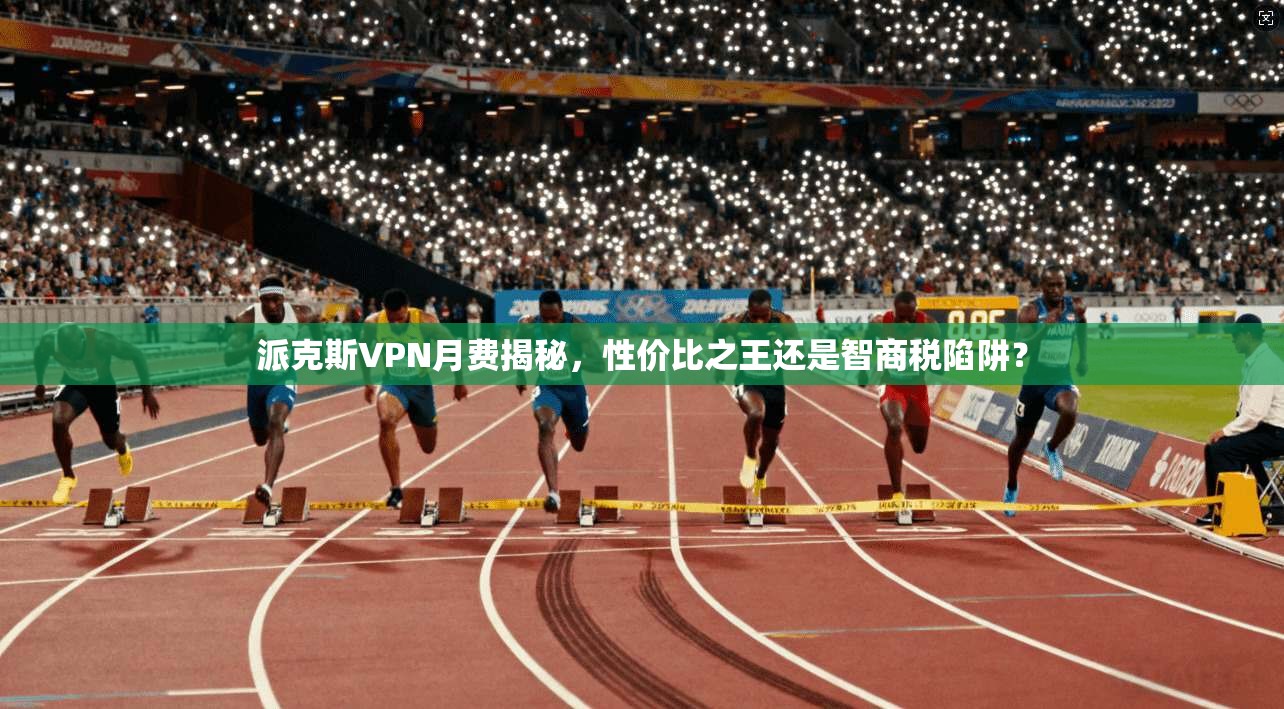派克斯VPN月费揭秘，性价比之王还是智商税陷阱？