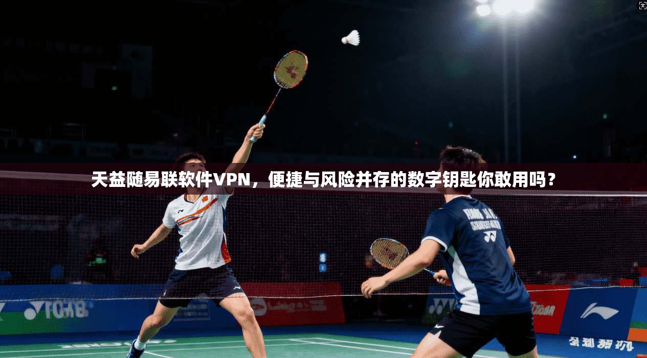 天益随易联软件VPN,便捷与风险并存的数字钥匙你敢用吗?