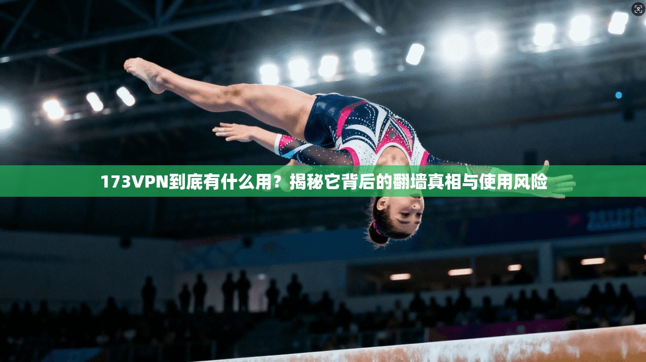 173VPN到底有什么用？揭秘它背后的翻墙真相与使用风险