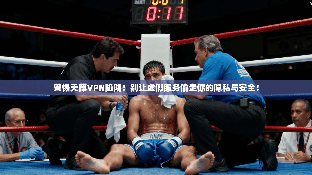 警惕天麒VPN陷阱!别让虚假服务偷走你的隐私与安全!