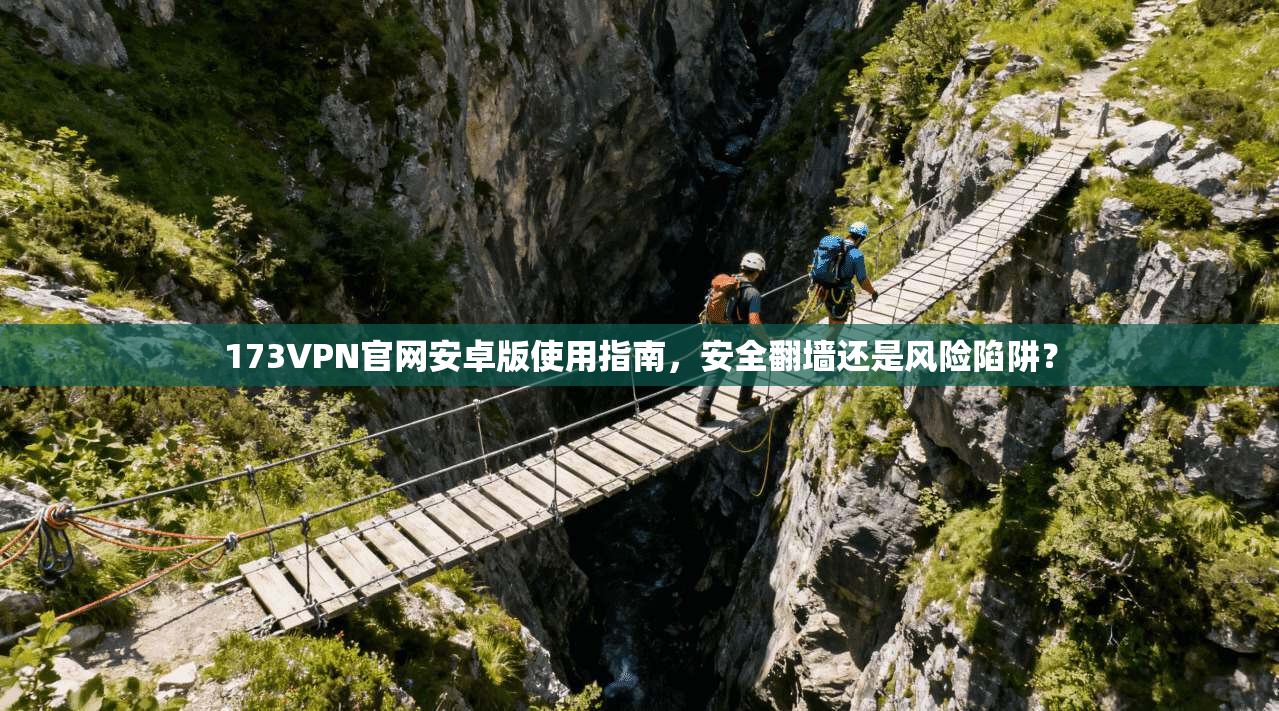 173VPN官网安卓版使用指南,安全翻墙还是风险陷阱?
