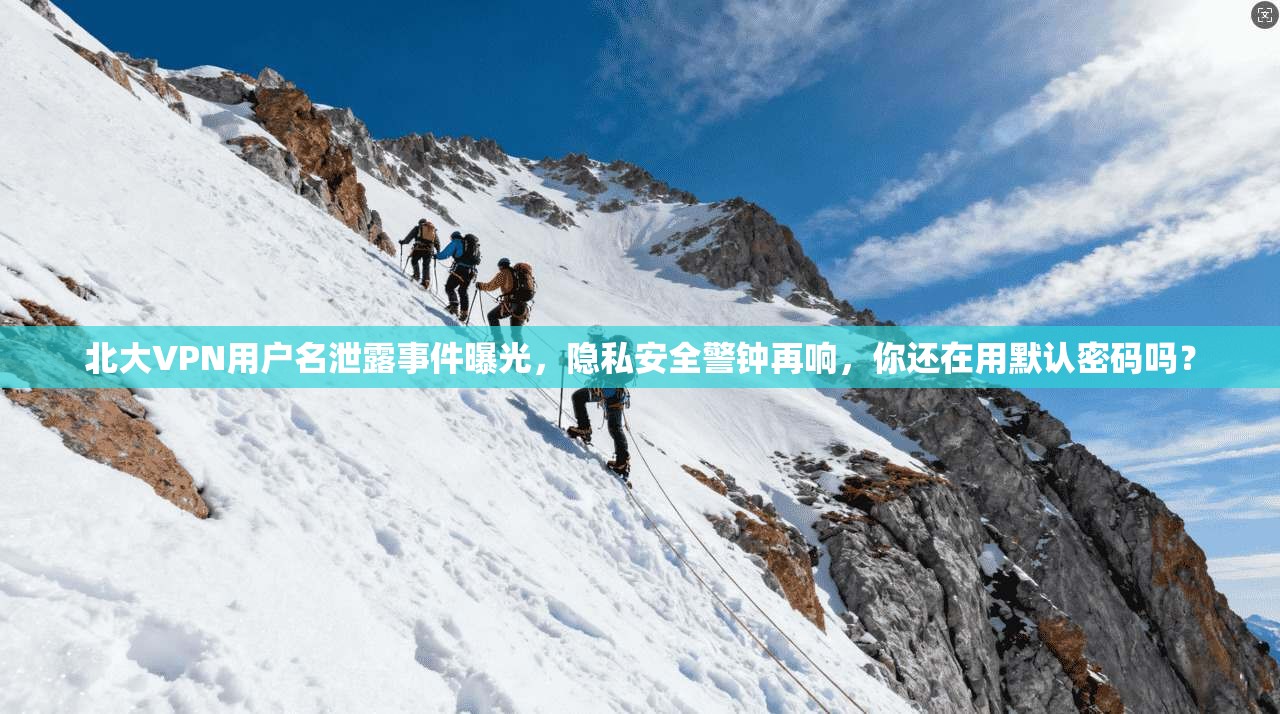 北大VPN用户名泄露事件曝光,隐私安全警钟再响,你还在用默认密码吗?
