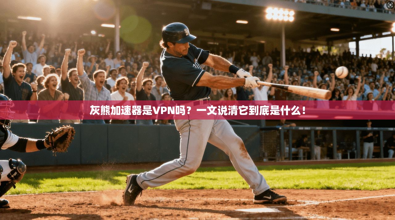 灰熊加速器是VPN吗?一文说清它到底是什么!