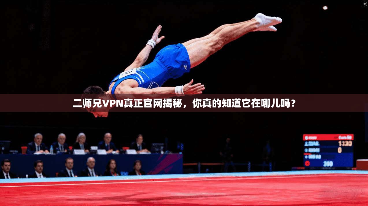 二师兄VPN真正官网揭秘,你真的知道它在哪儿吗?