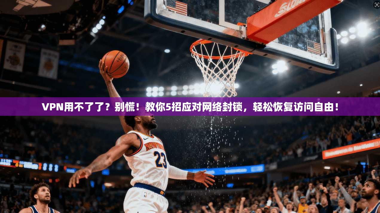 VPN用不了了？别慌！教你5招应对网络封锁，轻松恢复访问自由！