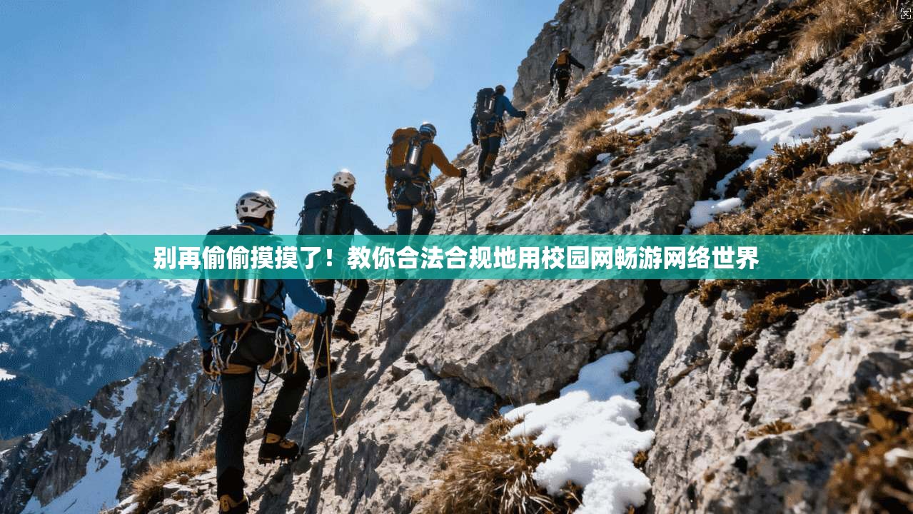 别再偷偷摸摸了！教你合法合规地用校园网畅游网络世界