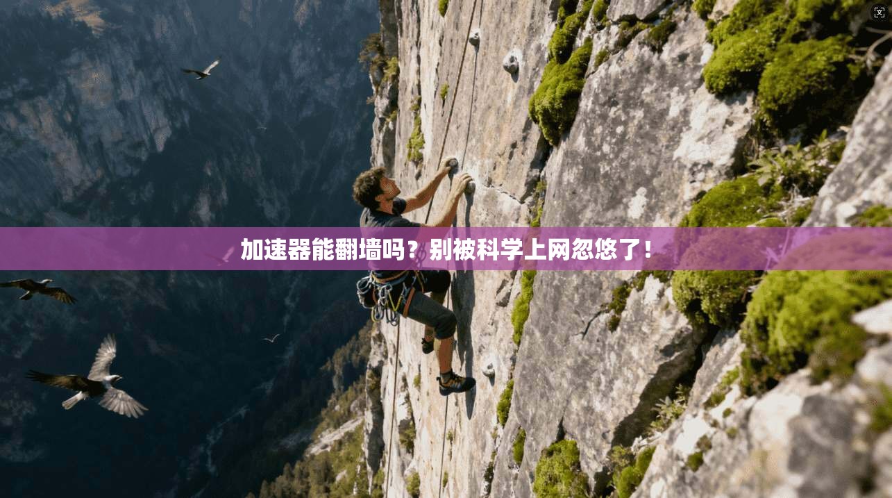加速器能翻墙吗?别被科学上网忽悠了!