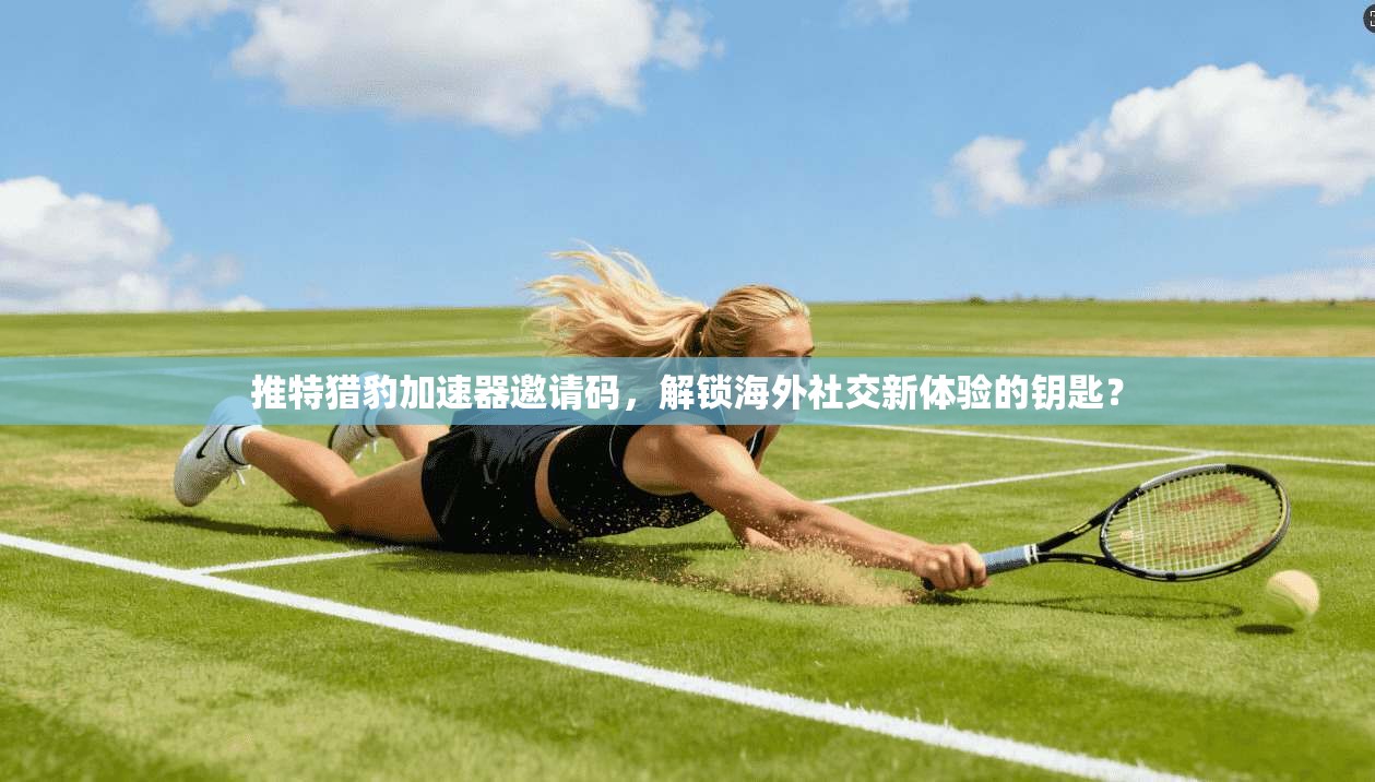 推特猎豹加速器邀请码,解锁海外社交新体验的钥匙?