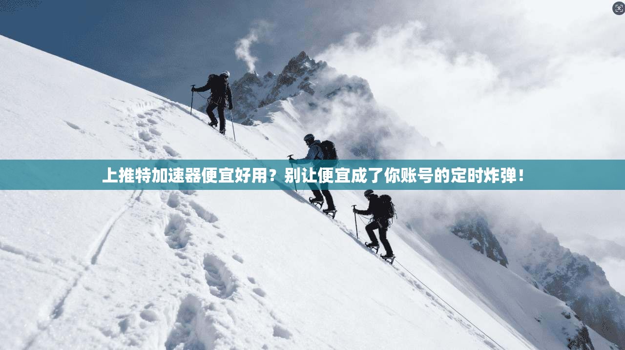 上推特加速器便宜好用？别让便宜成了你账号的定时炸弹！