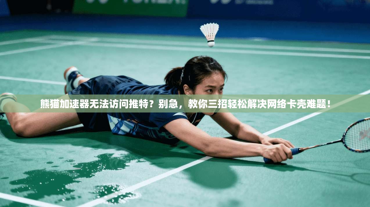 熊猫加速器无法访问推特？别急，教你三招轻松解决网络卡壳难题！